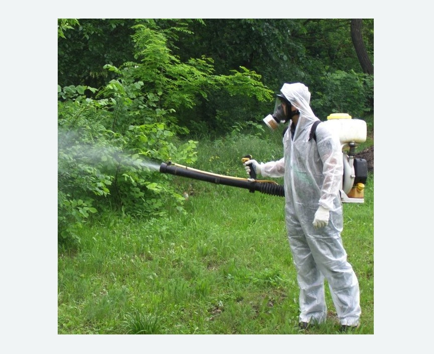 обработка территории от клещей в Николаевске