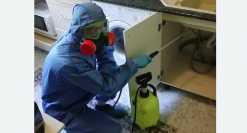 Уничтожение муравьев в квартире. Николаевск