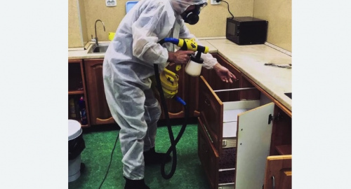 Уничтожение насекомых в квартире. Николаевск