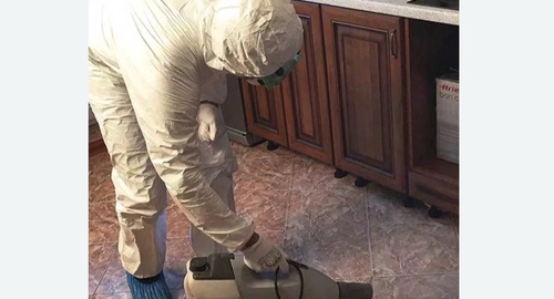 Уничтожение тараканов в квартире. Николаевск