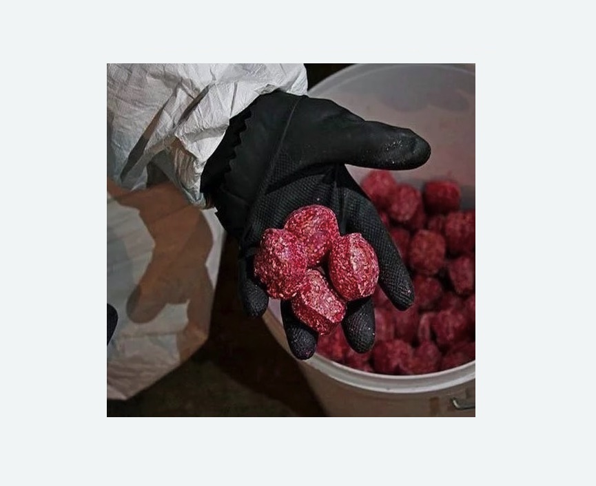 Обработка от крыс в Николаевске