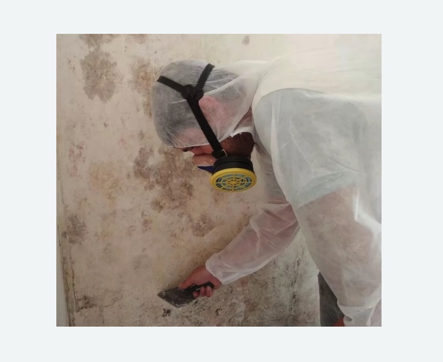 Обработка стен от плесени в Николаевске