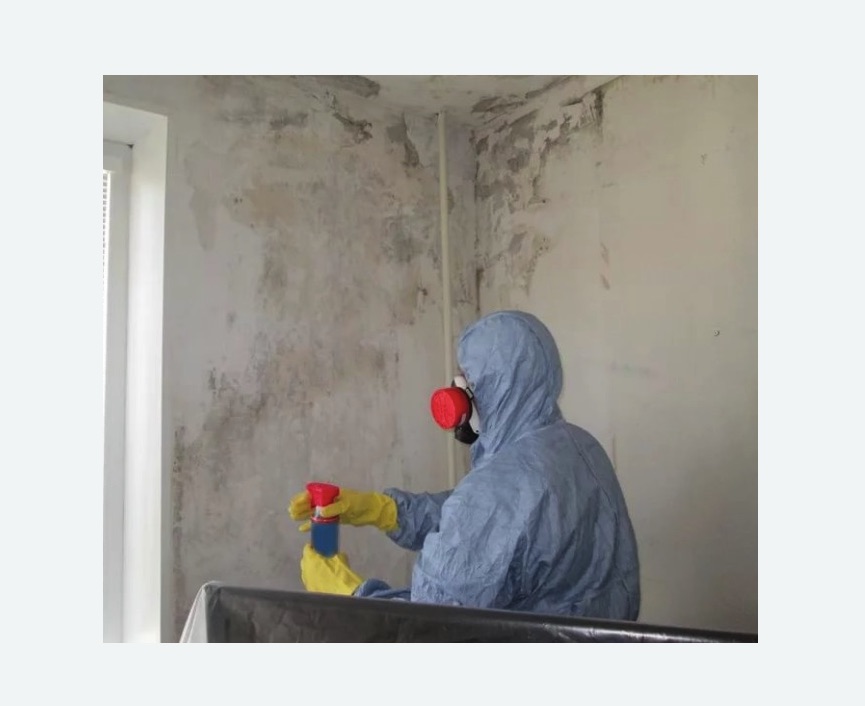 Удаление плесени в квартире в Николаевске