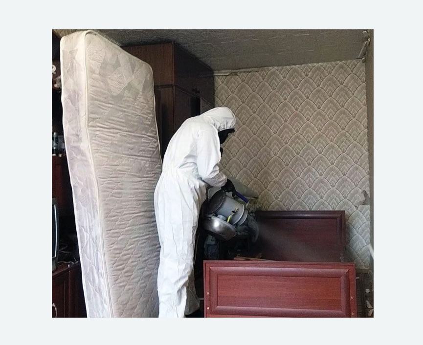 дезинфекция от клопов дезинфекция от клопов в Николаевске