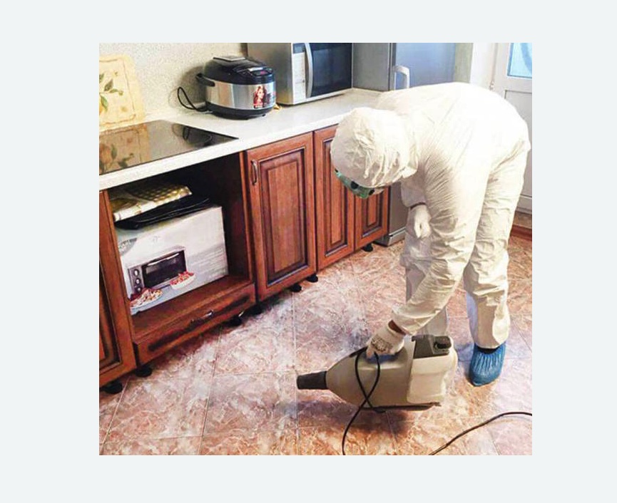 обработка квартиры от клопов в Николаевске обработка квартиры от клопов