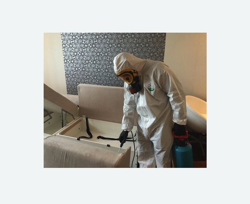 уничтожение клопов в квартире уничтожение клопов в квартире в Николаевске