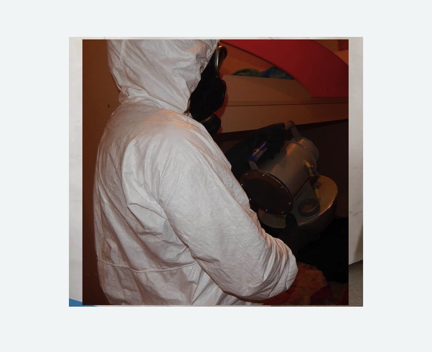 Дезинфекция от муравьев в Николаевске