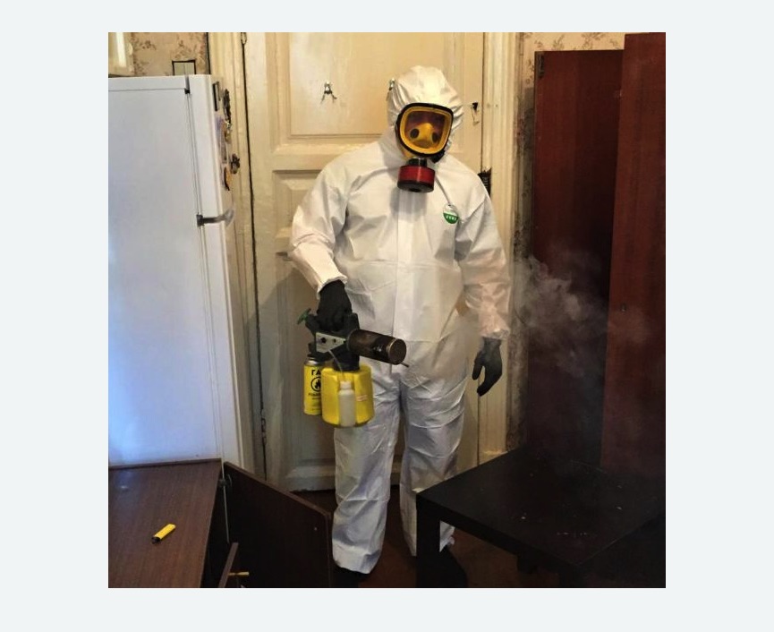 уничтожение муравьев в квартире в Николаевске